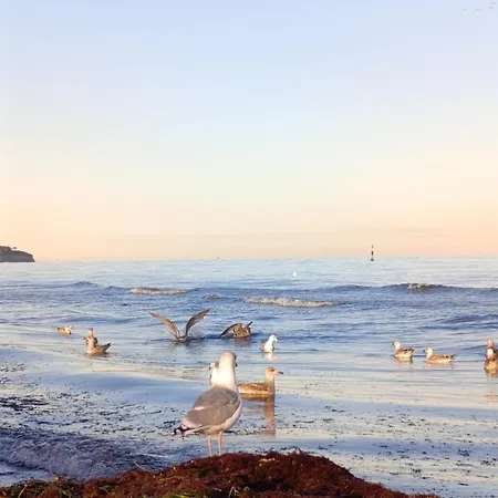 Dahai Seebad Warnemünde Schulstraße 1, Og Apartment Rostock