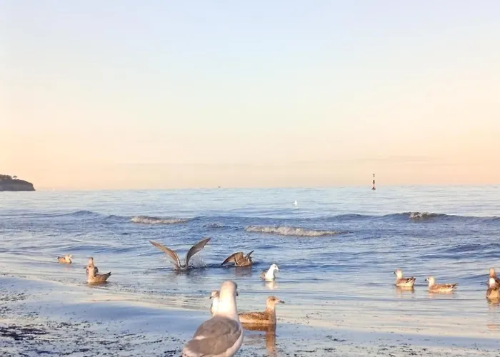 Dahai Seebad Warnemünde Schulstraße 1, Og Apartment Rostock