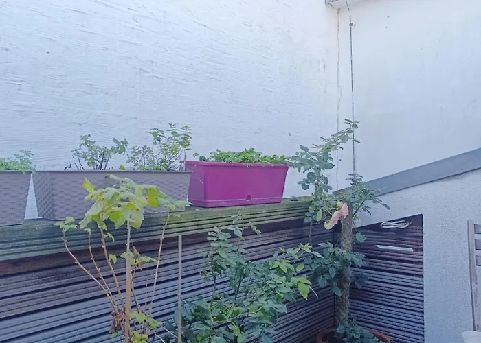 Apartment Dahai Seebad Warnemünde Schulstraße 1, Og Rostock